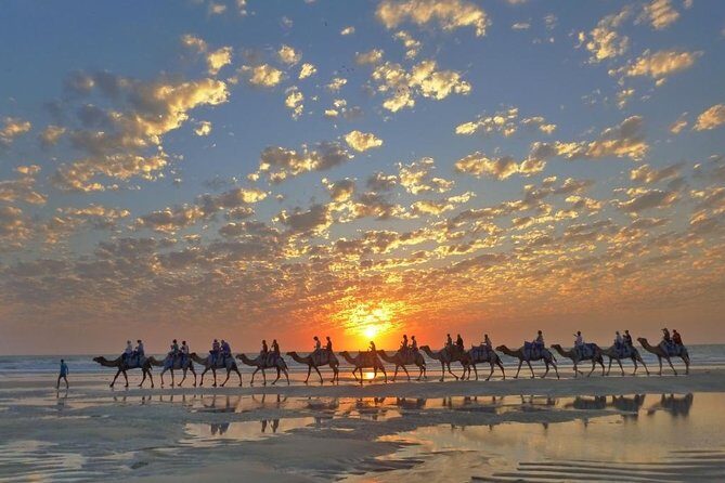 1 Hour Broome Sunset Camel Tour - Detailed Itinerary Breakdown