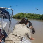 1 Hour Jumping Crocodile Cruise on the Adelaide River - Practical Details: What You Need to Know
