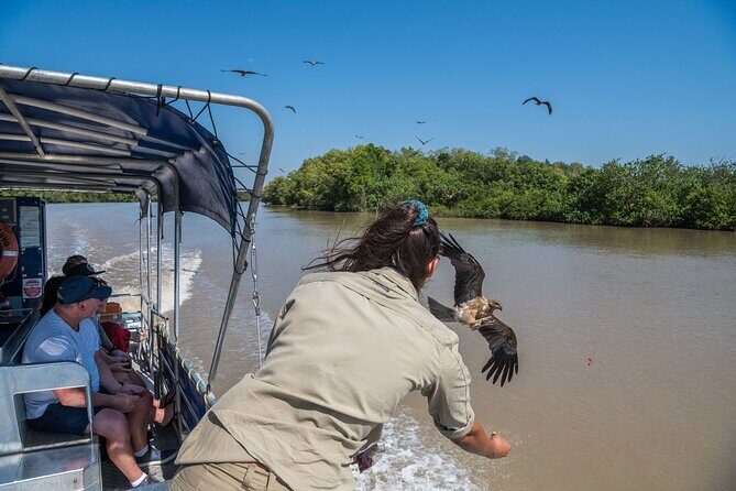 1 Hour Jumping Crocodile Cruise on the Adelaide River - Practical Details: What You Need to Know
