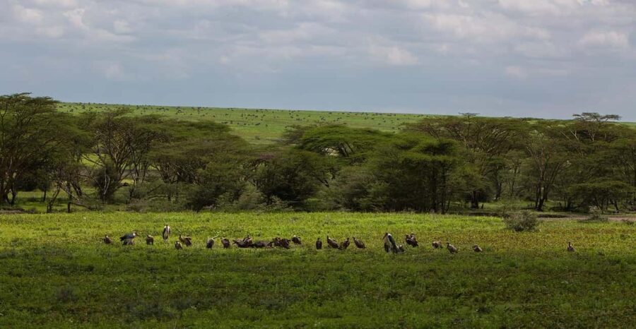 1-Night 2-Days to Mikumi from Dar-es-Salaam by luxury train - The Itinerary in Detail
