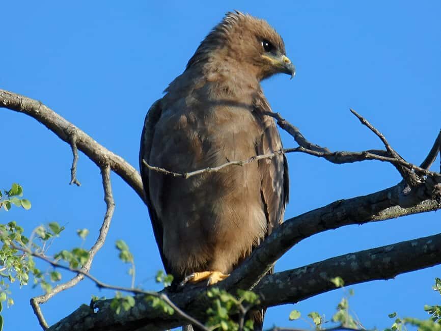 10 day Kruger and beyond photographic tour - What We Love About This Tour