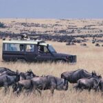 10 Days Kenya Big Five Classic Safari Adventure on 4x4 Jeep - What’s Included & What’s Not