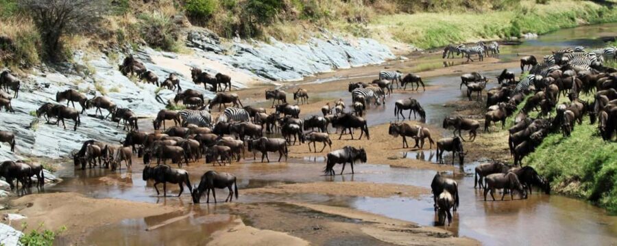 11-day Spirit & Soul of Africa safari in Kenya and Tanzania - Practical Aspects & Value