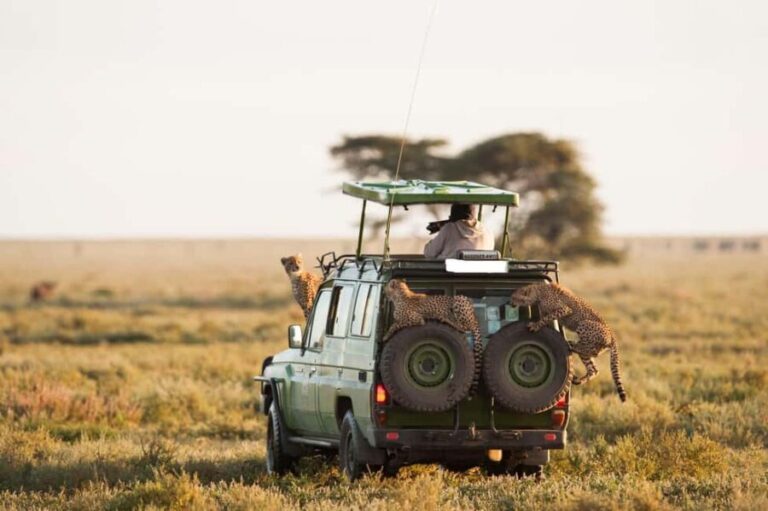 11 Days Kenya Safari Tour on 4x4 Landcruiser Jeep - An In-Depth Look at the 11-Day Kenya Safari
