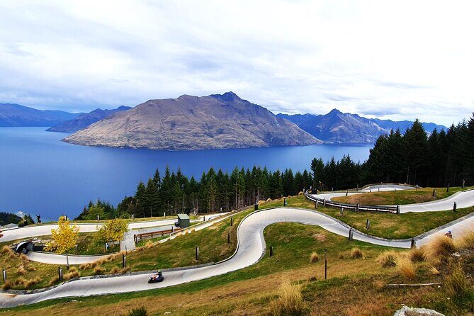 12 Day New Zealand Private Tour from Auckland to Stewart Island - Who Should Consider This Tour?