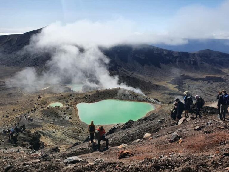 14 Day Northern Kiwi Small Group Tour - Practical Details and Value