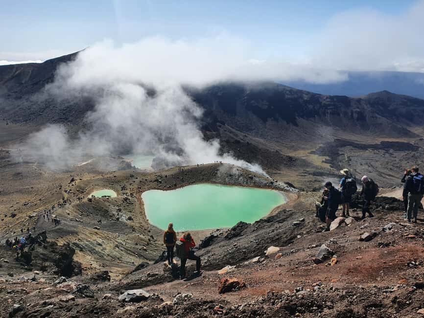 14 Day Northern Kiwi Small Group Tour - Practical Details and Value
