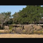 15 Day Tour of South Africa - Cape Town to Johannesburg - What’s Included and How It Adds Value