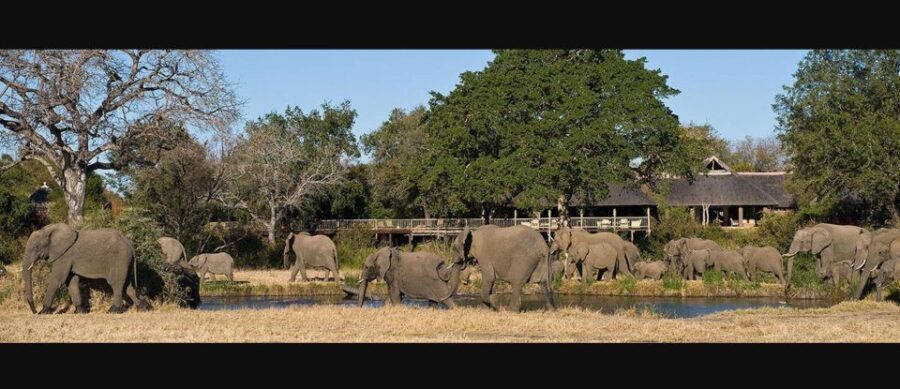 15 Day Tour of South Africa - Cape Town to Johannesburg - What’s Included and How It Adds Value