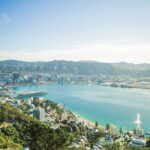 15-Minute Wellington Harbour Helicopter Flight - Analyzing the Value for Money