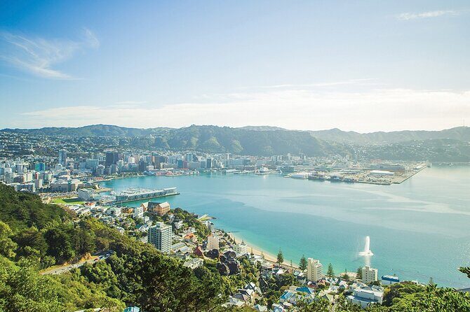 15-Minute Wellington Harbour Helicopter Flight - Analyzing the Value for Money
