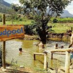 16 Lines Zipline, Cave and Mud Spa Combo Tour with Lunch in Fiji - Final Thoughts: Who Will Love This Tour?