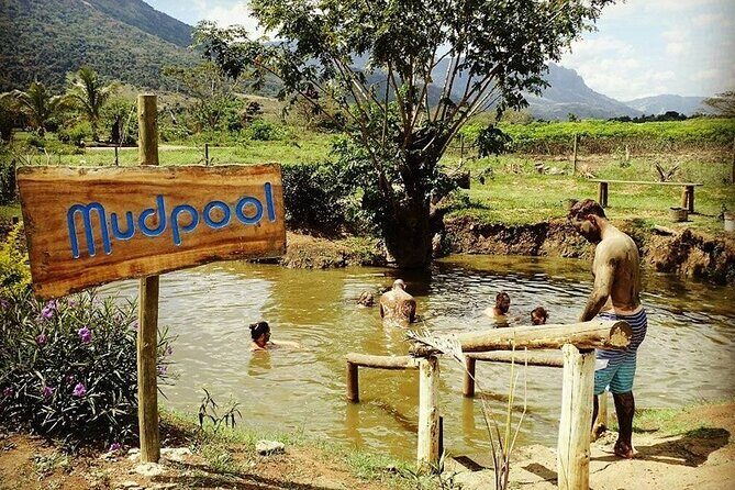 16 Lines Zipline, Cave and Mud Spa Combo Tour with Lunch in Fiji - Final Thoughts: Who Will Love This Tour?