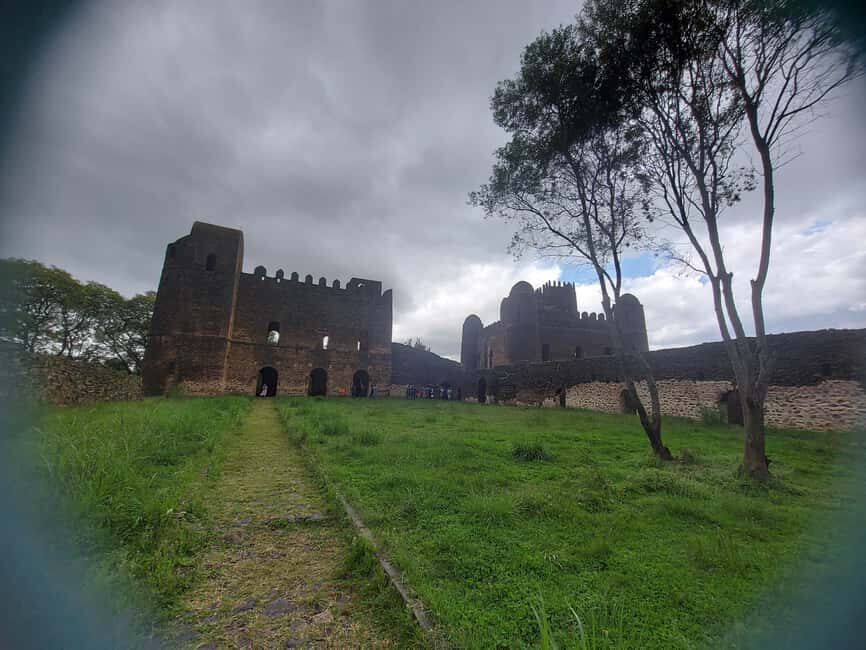 17 Days Exploring Northern Ethiopia Tours - Analyzing the Value