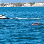 1hr Jet Ski Safari - What Makes This Tour Stand Out?