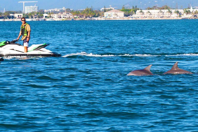 1hr Jet Ski Safari - What Makes This Tour Stand Out?
