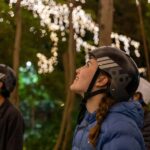 2.5 Hour Brisbane: Sightseeing Tours - Morning & Night - Detailed Tour Breakdown
