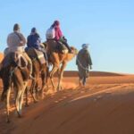 2-Day, 1-Night Desert Trip to Merzouga from Ouarzazate - What’s Included and What’s Not