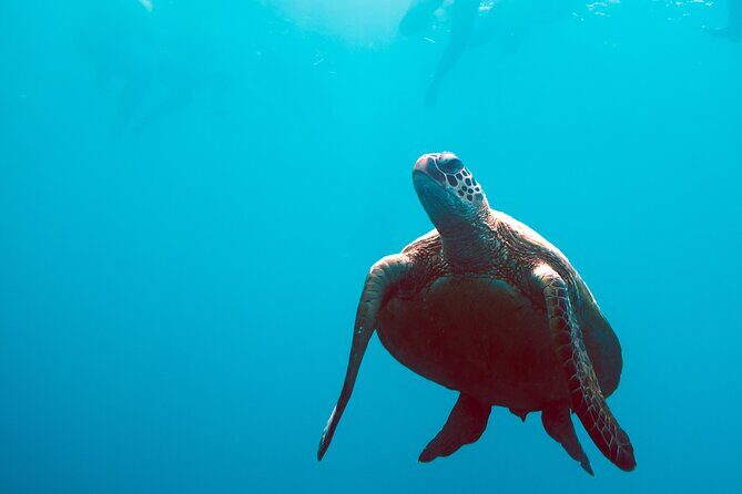 2 Day & 2 Night Whitsundays Sailing Adventure on Broomstick - What’s Included and What to Consider