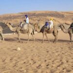 2-Day Luxury Excursion from Marrakech to the Zagora Desert - Day Two: Return Journey & Marrakech