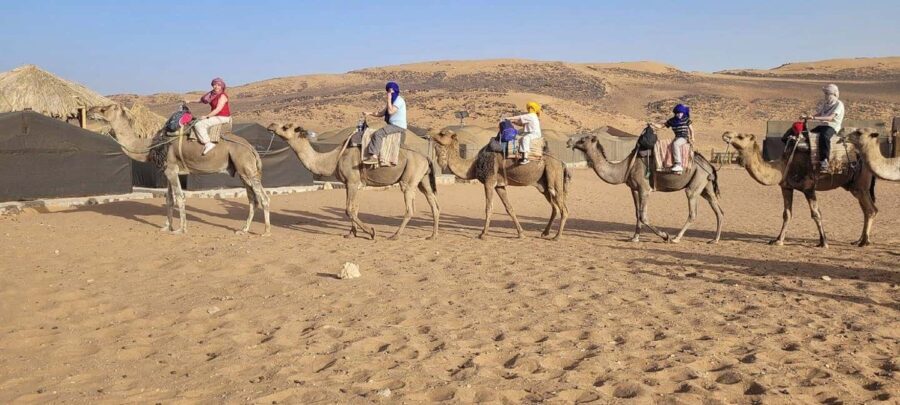 2-Day Luxury Excursion from Marrakech to the Zagora Desert - Day Two: Return Journey & Marrakech
