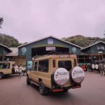 2-day luxury private fly safari from&back to zanzibar - The Itinerary Breakdown