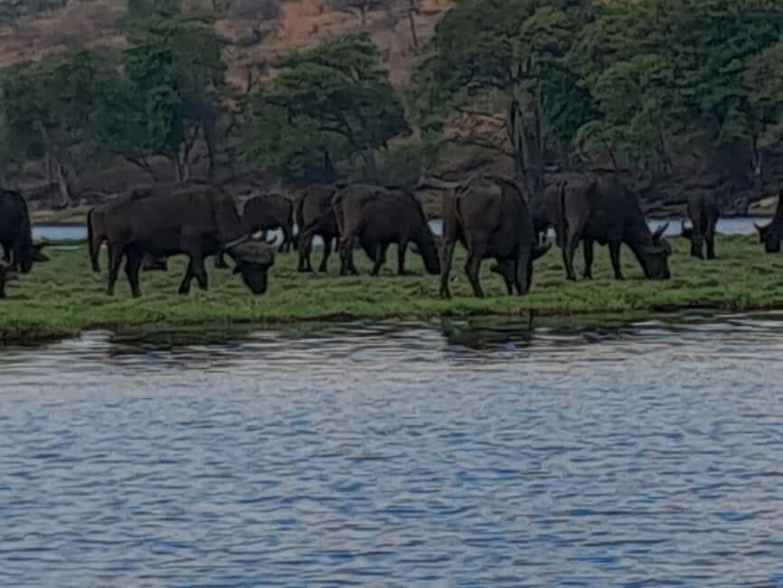 2 Day one night chobe safaris - Who Is This Tour Best For?