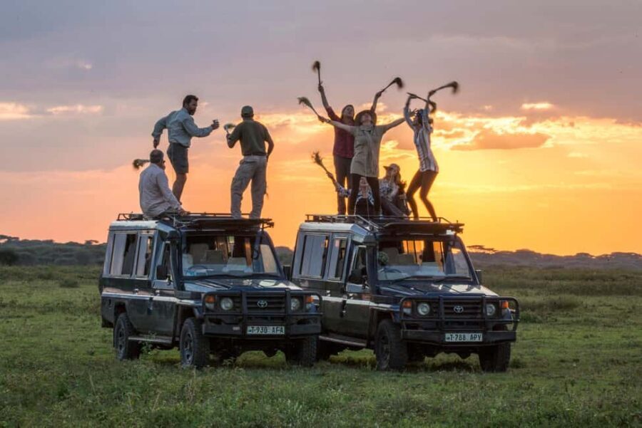 2-Day Private Luxury Safari from Zanzibar with Flights - What’s Included & What to Consider