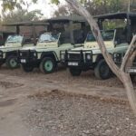 2 Day Selous wildlife view + Boat + Bushman walking safaris - A Detailed Look at the 2-Day Selous Safari