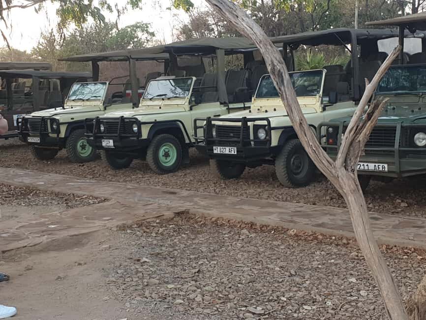 2 Day Selous wildlife view + Boat + Bushman walking safaris - A Detailed Look at the 2-Day Selous Safari