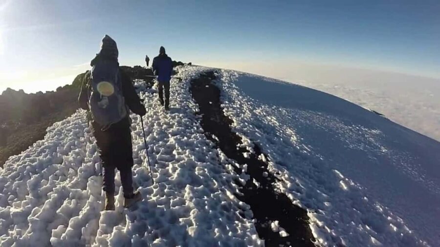 2-Day Short Mount Kilimanjaro Trek - Itinerary Breakdown: What to Expect Day-by-Day