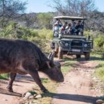 2 Day Small Group Cape Town: Garden Route Big 5 Safari Tour - The Practicalities and Value