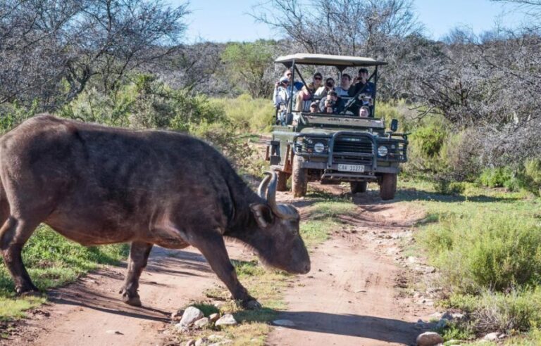 2 Day Small Group Cape Town: Garden Route Big 5 Safari Tour - The Practicalities and Value