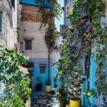 2-Day Tour From Fes: Volubilis, Meknès & Chefchaouen - How Does This Tour Save You Time and Money?