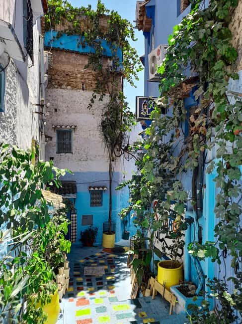 2-Day Tour From Fes: Volubilis, Meknès & Chefchaouen - How Does This Tour Save You Time and Money?
