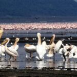 2 Day tour to Lake Nakuru and Lake Naivasha Boat Ride - Frequently Asked Questions
