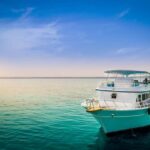 2-Day Tours From Cairo To Alexandria & The Red Sea - The Practicalities: Transportation, Timing, and Comfort