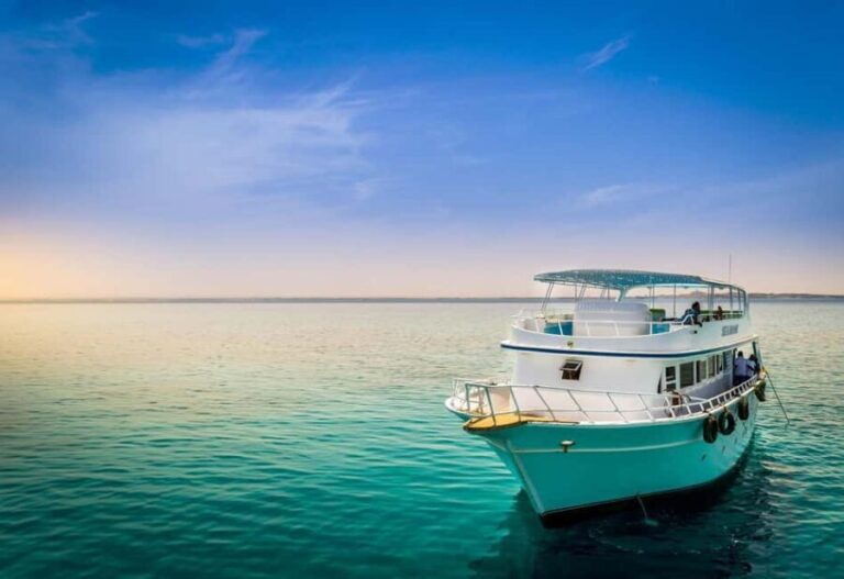 2-Day Tours From Cairo To Alexandria & The Red Sea - The Practicalities: Transportation, Timing, and Comfort