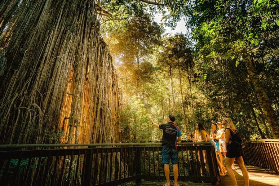 2-Day Waterfall and Daintree Tour - The Details That Matter