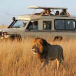 2 days 1 night Nyerere national park from Zanzibar by flight - Summary: Why This Safari Might Be Your Perfect Tanzanian Escape