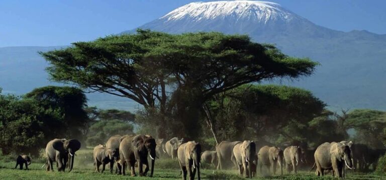 2 days Amboseli National Park Private Safari & Masai village - Detailed Breakdown of the 2-Day Itinerary