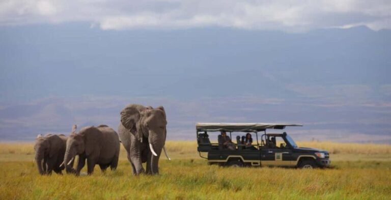 2 Days Amboseli National Park safari - Final Thoughts
