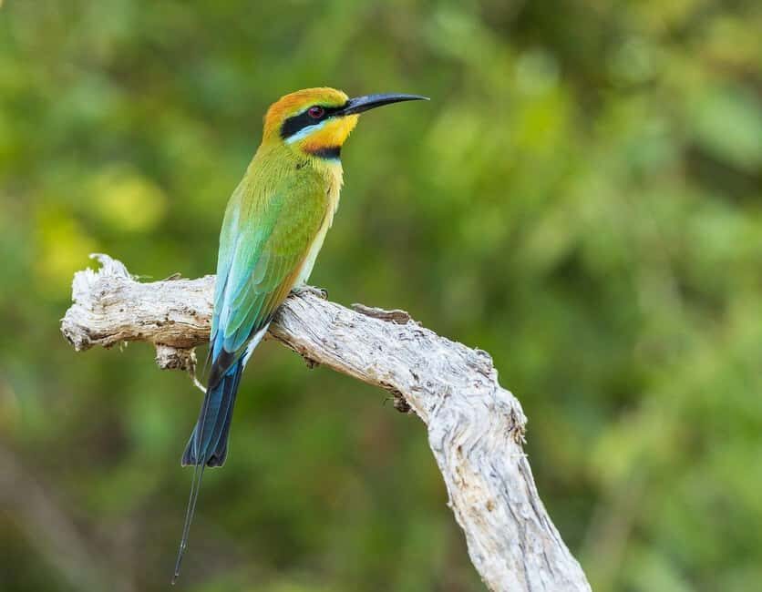 2 Days Cheap mikumi NP safari & waterfall from Dar es salaam - The Itinerary Breakdown: What You Can Expect