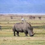 2 Days Mikumi National Park - The Itinerary Breakdown: What You Can Expect