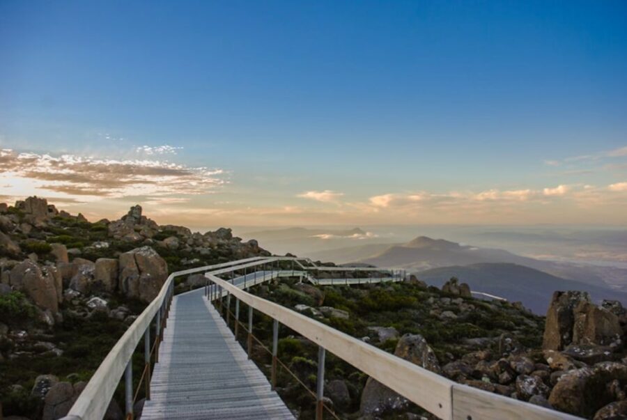 2 Days of Tasmania's Best - Day 1: City, Wildlife, and Mountain Views