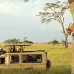 2 Days Private Budget Safari from Moshi - What Makes This Safari Special?