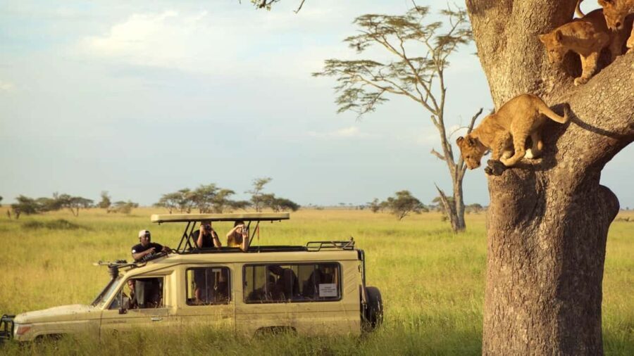 2 Days Private Budget Safari from Moshi - What Makes This Safari Special?