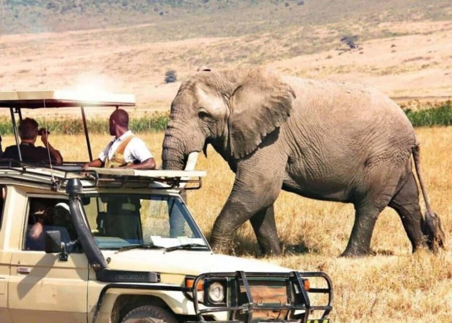 2 Days Private Midrange Safari from Dar Es Salaam - Day 1: Exploring Tarangire National Park