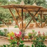 2 Days Private Midrange Safari to Tarangire & Ngorongoro - Exploring the Itinerary: What to Expect from Start to Finish