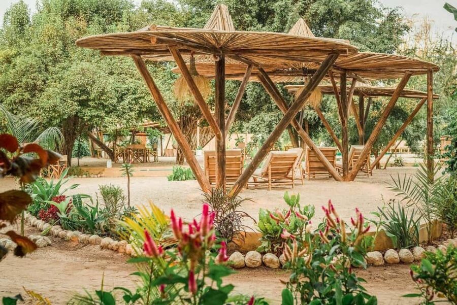 2 Days Private Midrange Safari to Tarangire & Ngorongoro - Exploring the Itinerary: What to Expect from Start to Finish